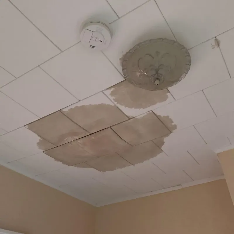 Ceiling Water Damage Repair in Monroe, LA